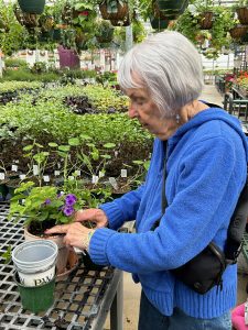 Spring Fling at Pine Hill Nursery